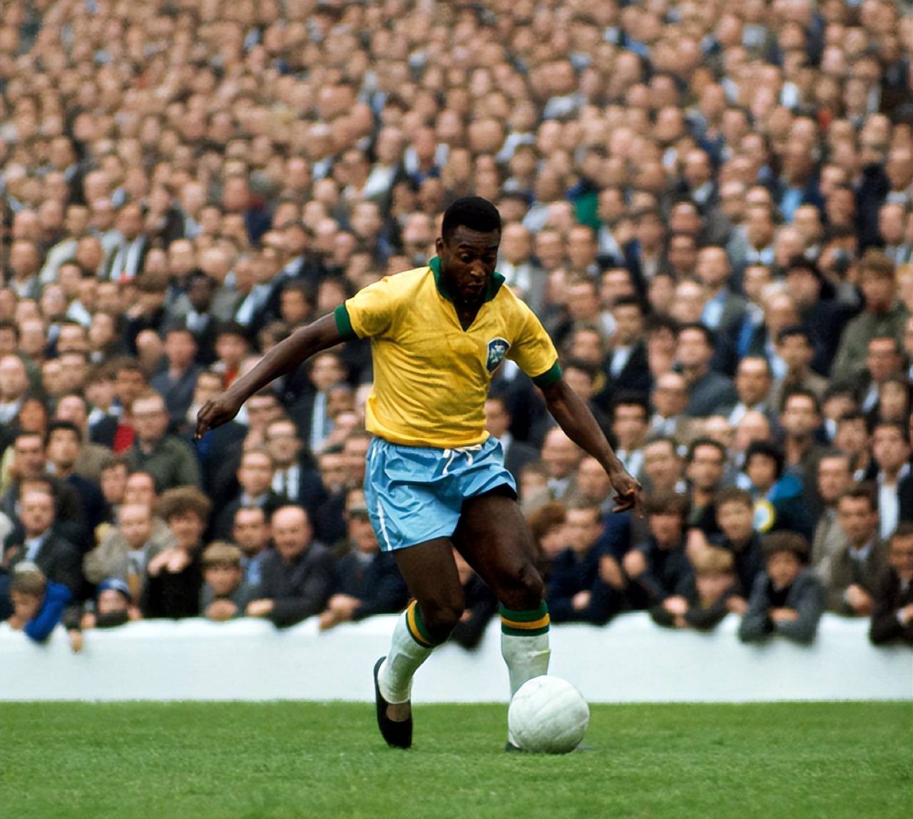 的窗口期已 的窗口期已