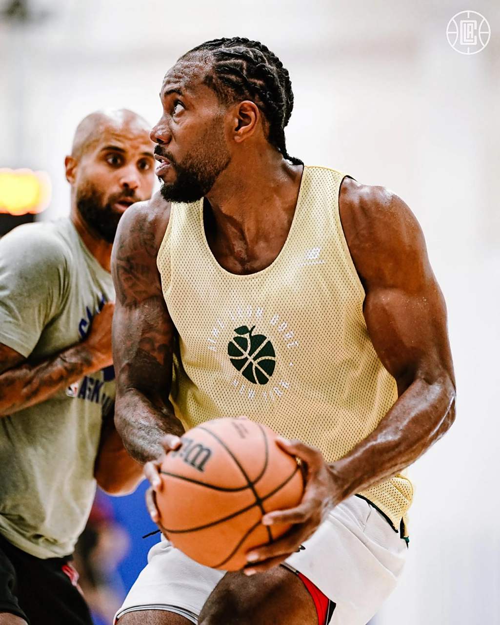 为什么新手 为什么新手